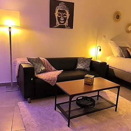 Appart&spa Republique Dijon